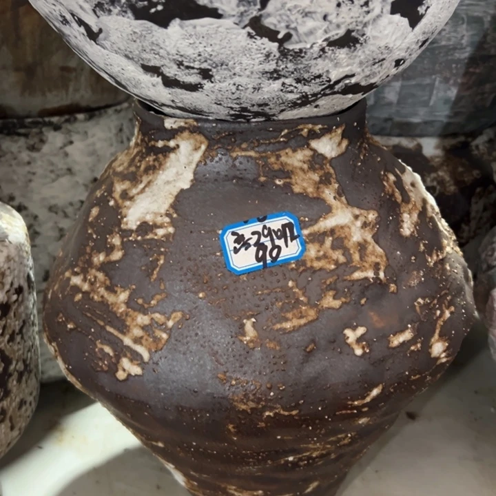 红陶20CM（含）-50CM（不含）