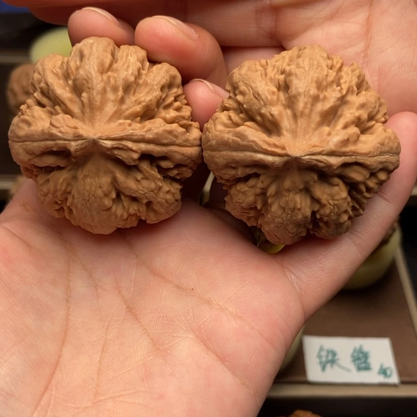 【闪购商品】文玩核桃把件43+全品霸王龙