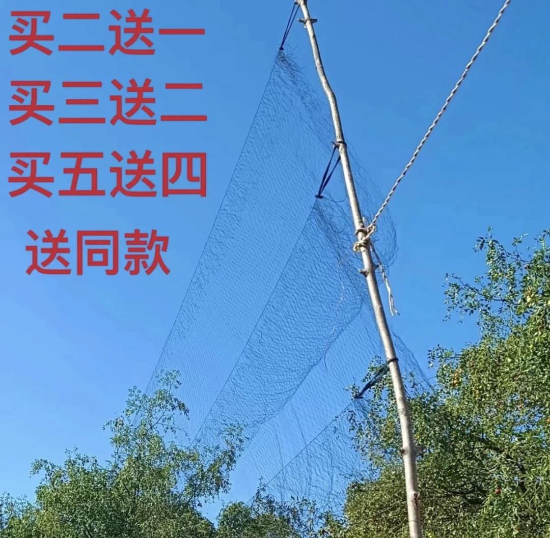防御鸟网防鸟尼龙网果园网葡萄网防护网网黑色防鸟网野外防网