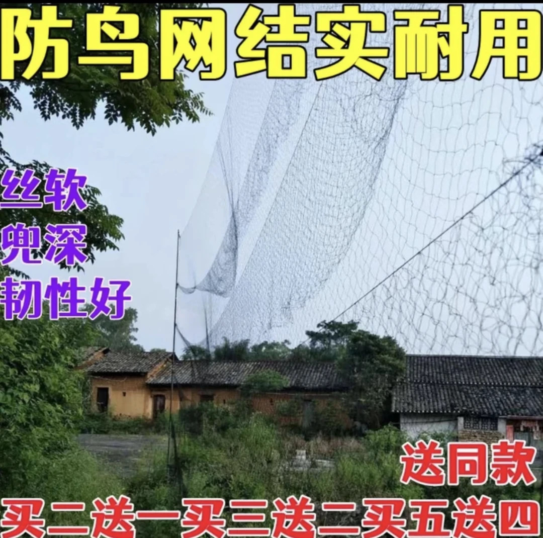 果园农田机场防鸟网鱼塘防护网尼龙防鸟网鱼丝线单丝夜游防鸟网