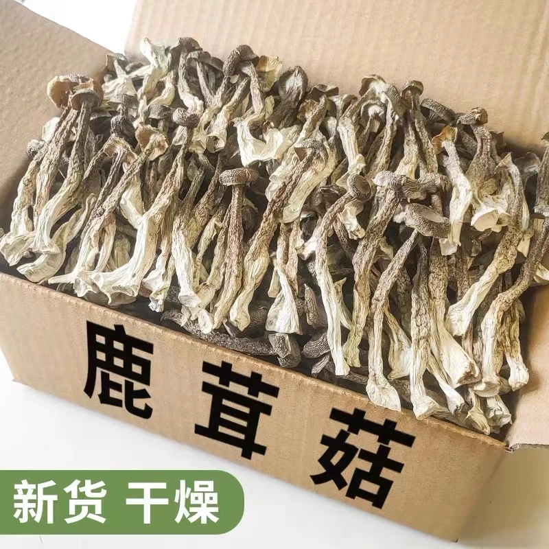 鹿茸菇干货鹿茸菌鹿茸菇批发菌菇蘑菇家特产蛹虫草炒菜炖汤包邮