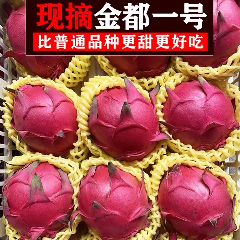 【金都一号】香甜火龙果大红心当季红肉新鲜薄皮热带水果一整箱大果