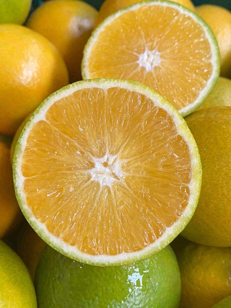【联盟甄选】来自袁牢山的花斑甜橙  5斤
