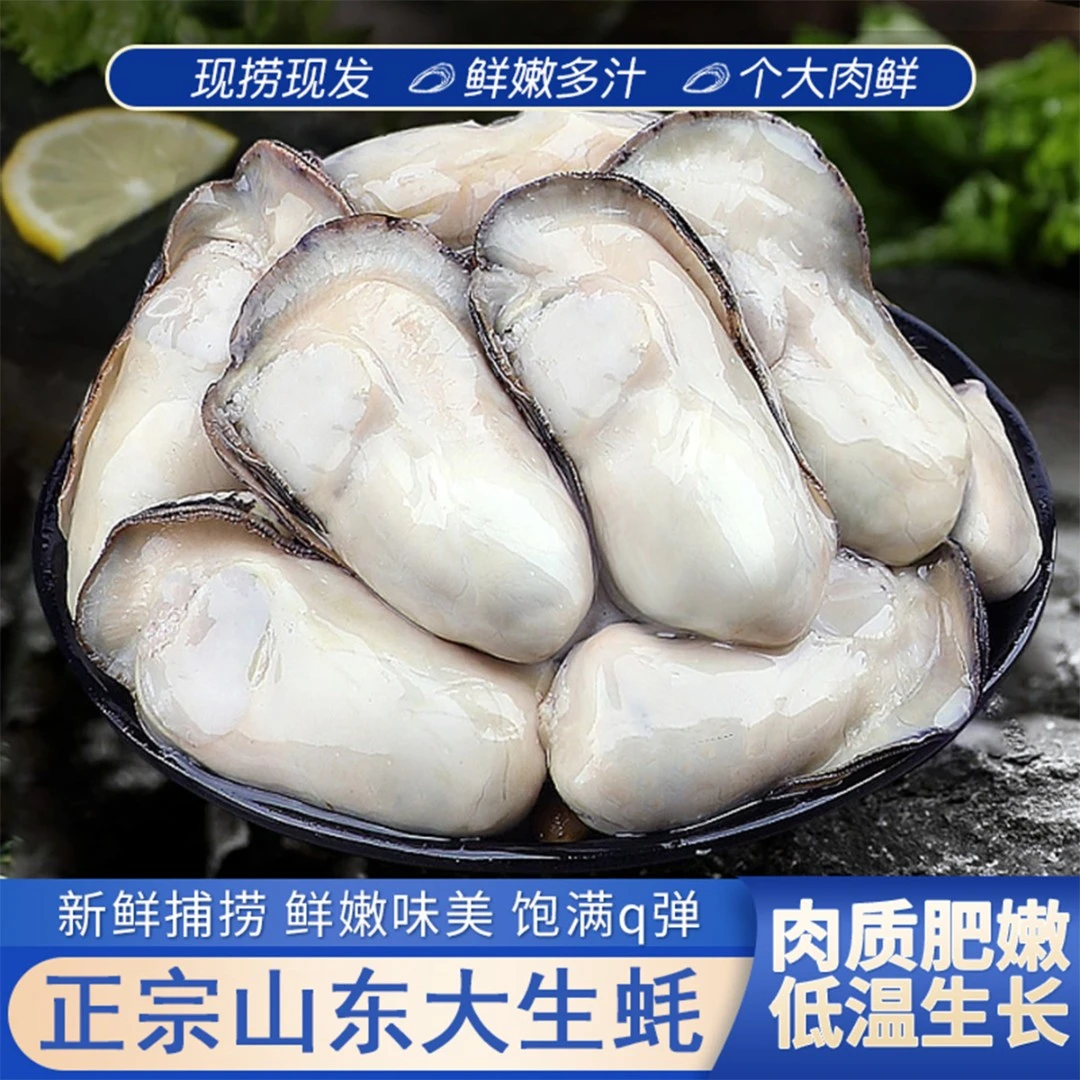 【5斤多送半斤】山东威海鲜活生蚝牡蛎无泥沙刺身级原产地直发包邮