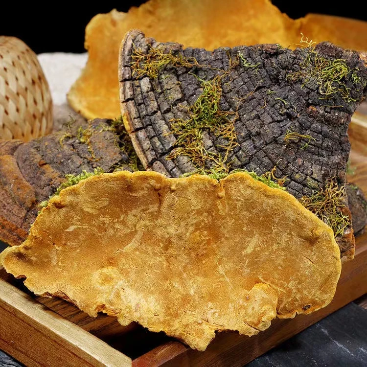 云南山货  嗓，黄