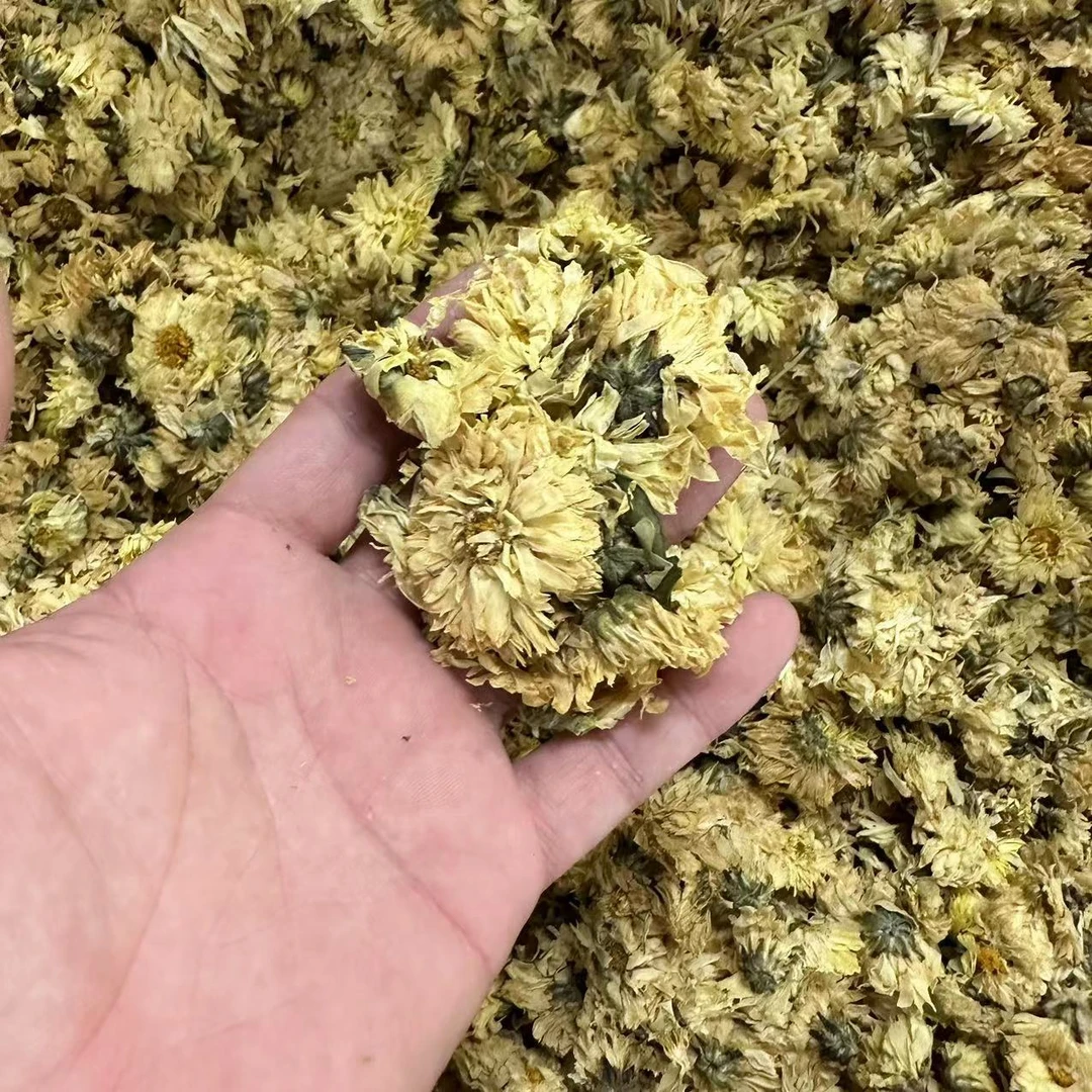 【三三】老式菊花200克