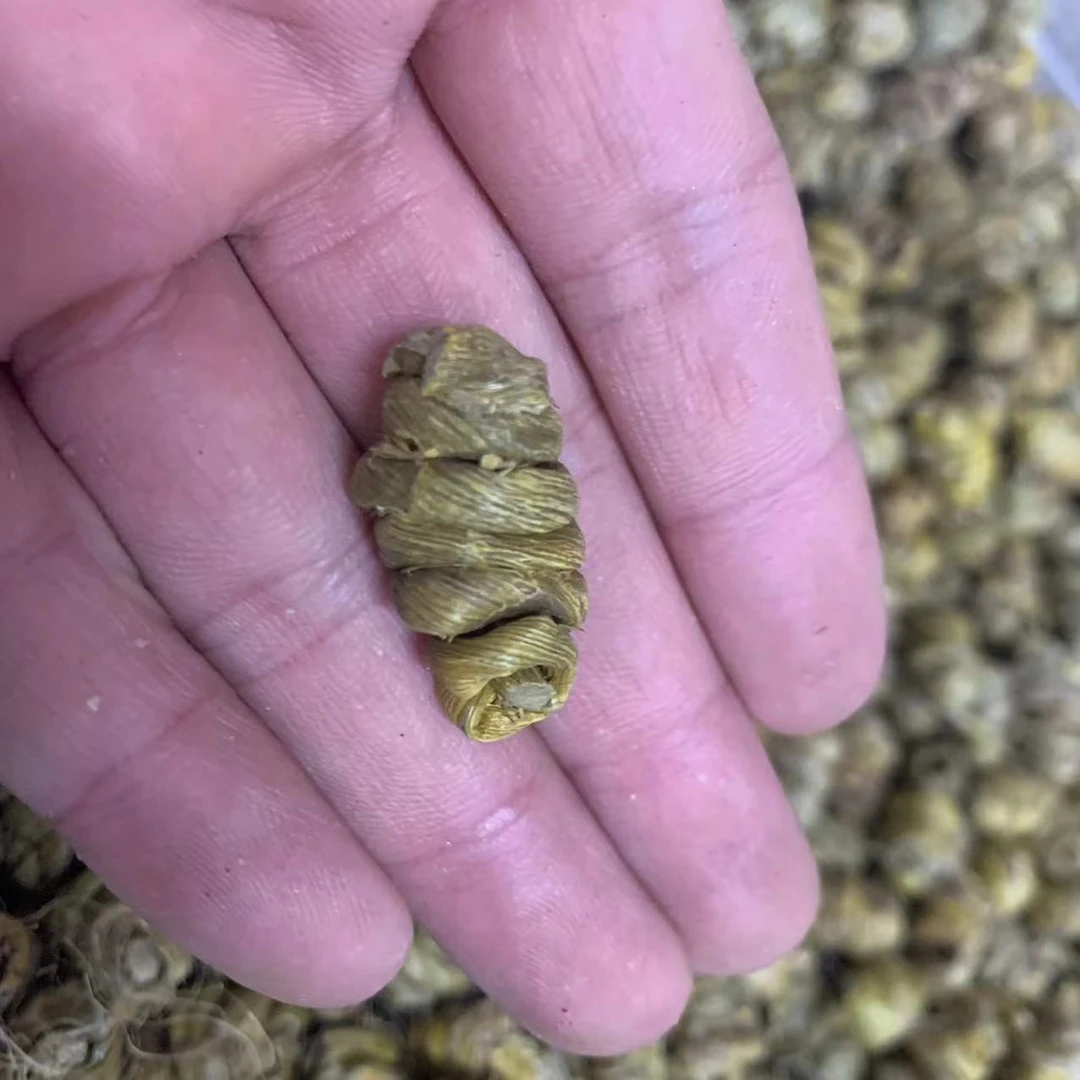 【三三】石  复 干货250g