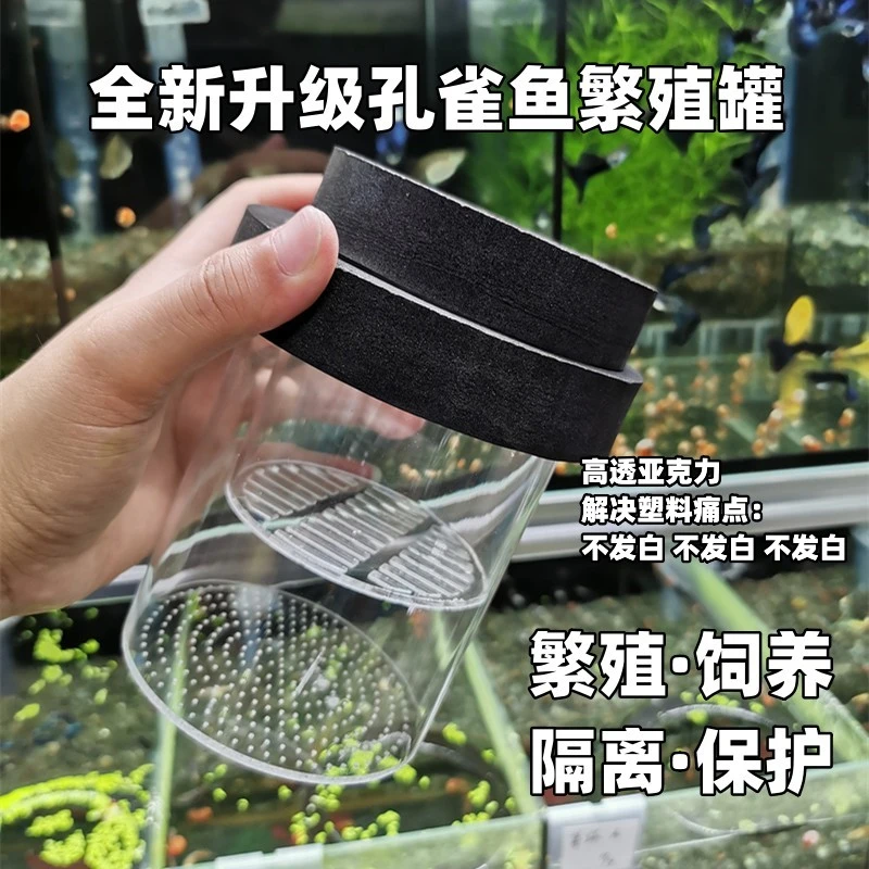 孔雀鱼母鱼产房悬浮繁殖罐隔离孵化神器