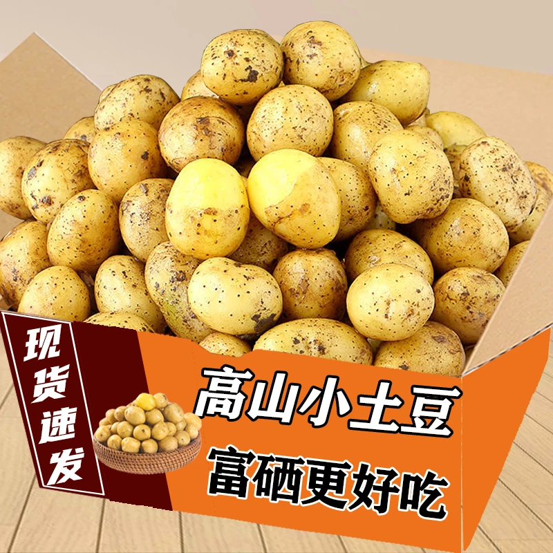 湖北新鲜小土豆好吃现挖高山洋芋老品种自种蔬菜整箱迷你黄心土豆