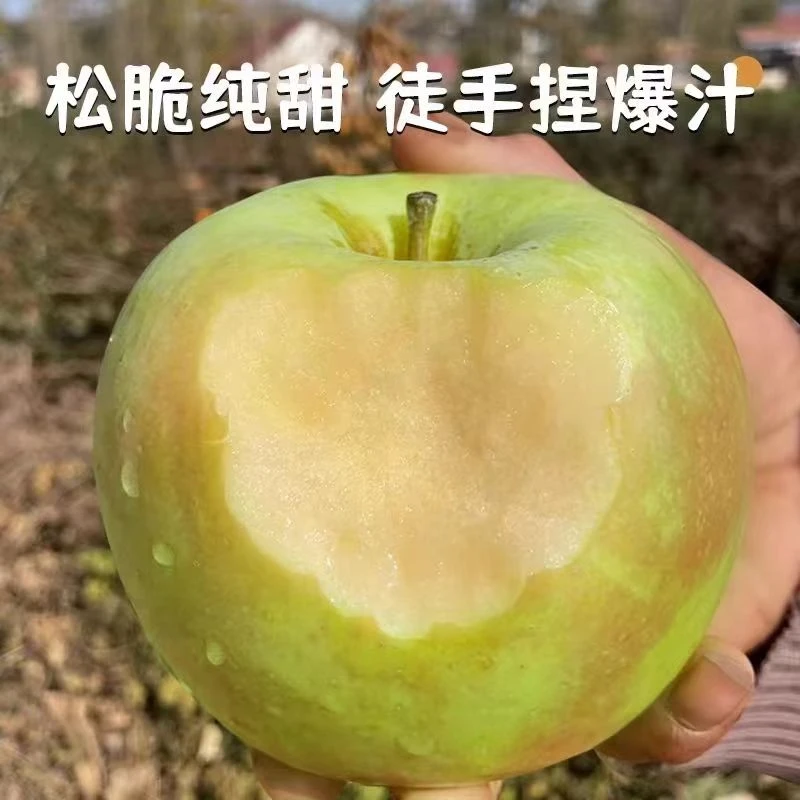 【KK妈新年专属福利】高端苹果 青森明月苹果水蜜桃苹果（小果）
