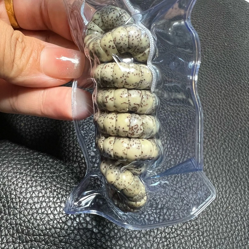 0141星月菩提猪大肠8mm彩云追月原生态原脂手串108