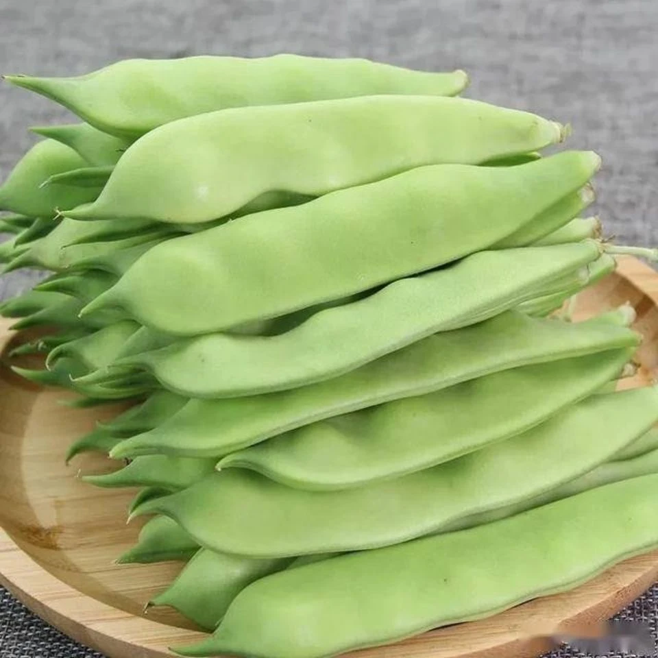 【坏了包赔】东北油豆角油豆角新鲜油豆角2斤3斤4斤包邮