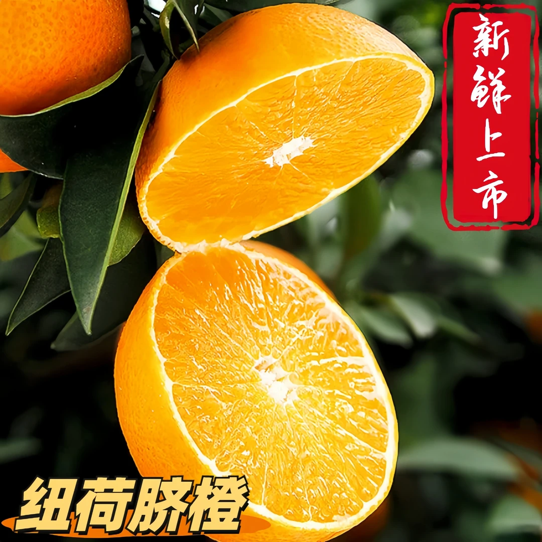 【带箱9-10斤】 四川纽荷尔脐橙 小中大果混发 香甜多汁