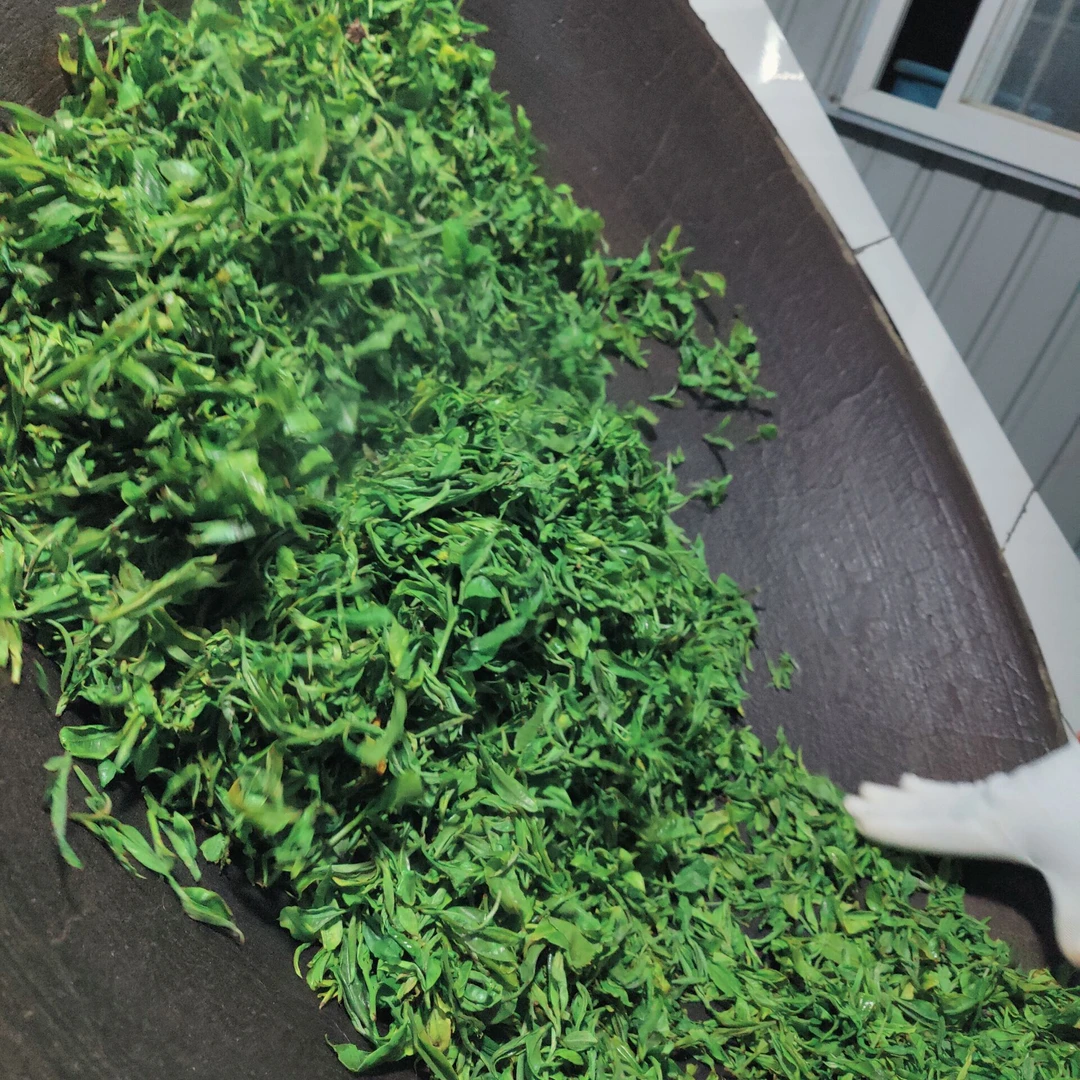 2025春【巨香单株】100克 普洱茶 散茶