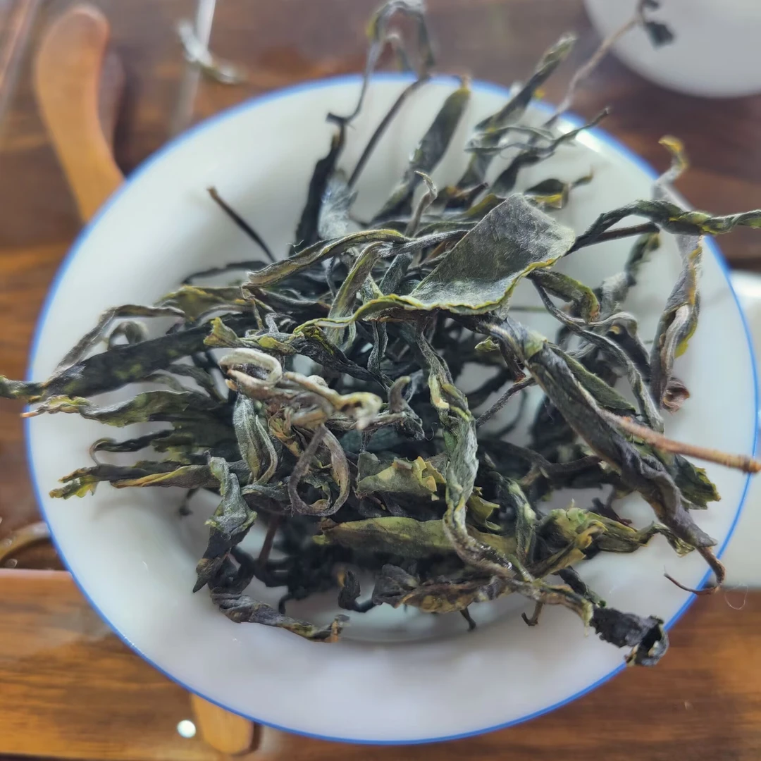 2025春【南挖河单株3号】100克 普洱茶 紧压茶