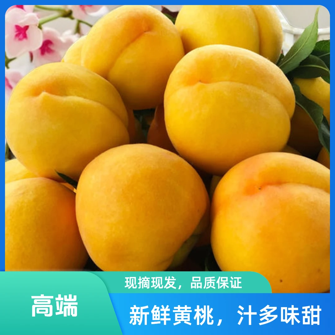 【自产自销】自己种的锦绣黄桃，爆汁软脆香甜，孕妇小孩老人均可食用