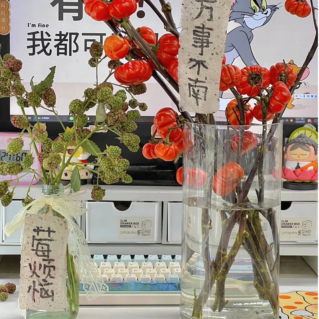 小南瓜鲜花鲜切枝云南直发昆明基地直供批水养插花鲜切花观赏果材