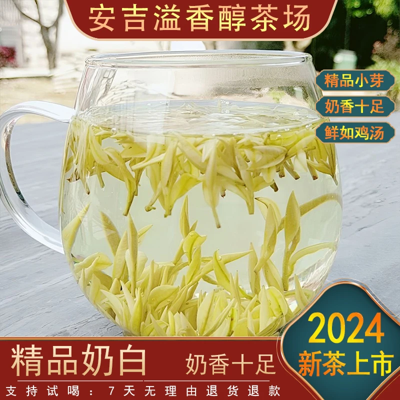 【奶香十足】2024新茶K2 鲜香嫩滑 品质推荐