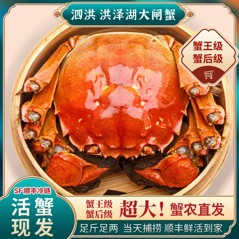 【活蟹现发】（4.0-3.7两）5只公蟹+（4.0-3.7两）5只母蟹大闸蟹顺丰