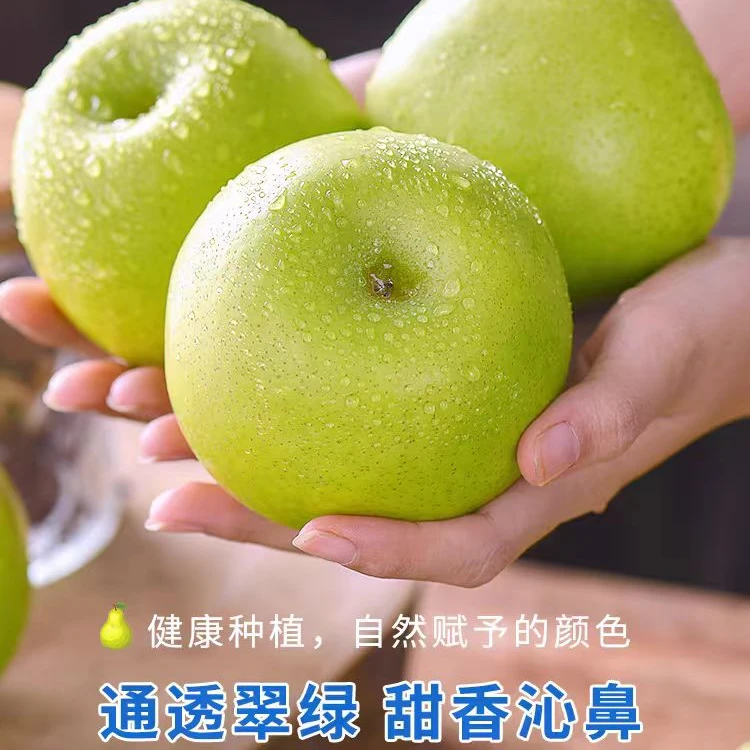 【脆甜多汁】湖北新鲜梨子酥脆1号香甜皮薄当季水果现摘现发好吃
