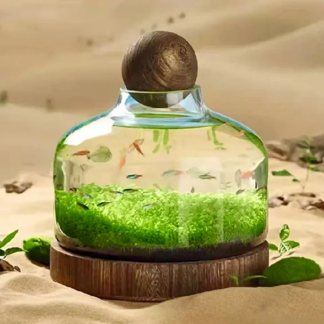 生态水草缸桌面微景观水培绿植造景家庭办公桌面创意水培摆件