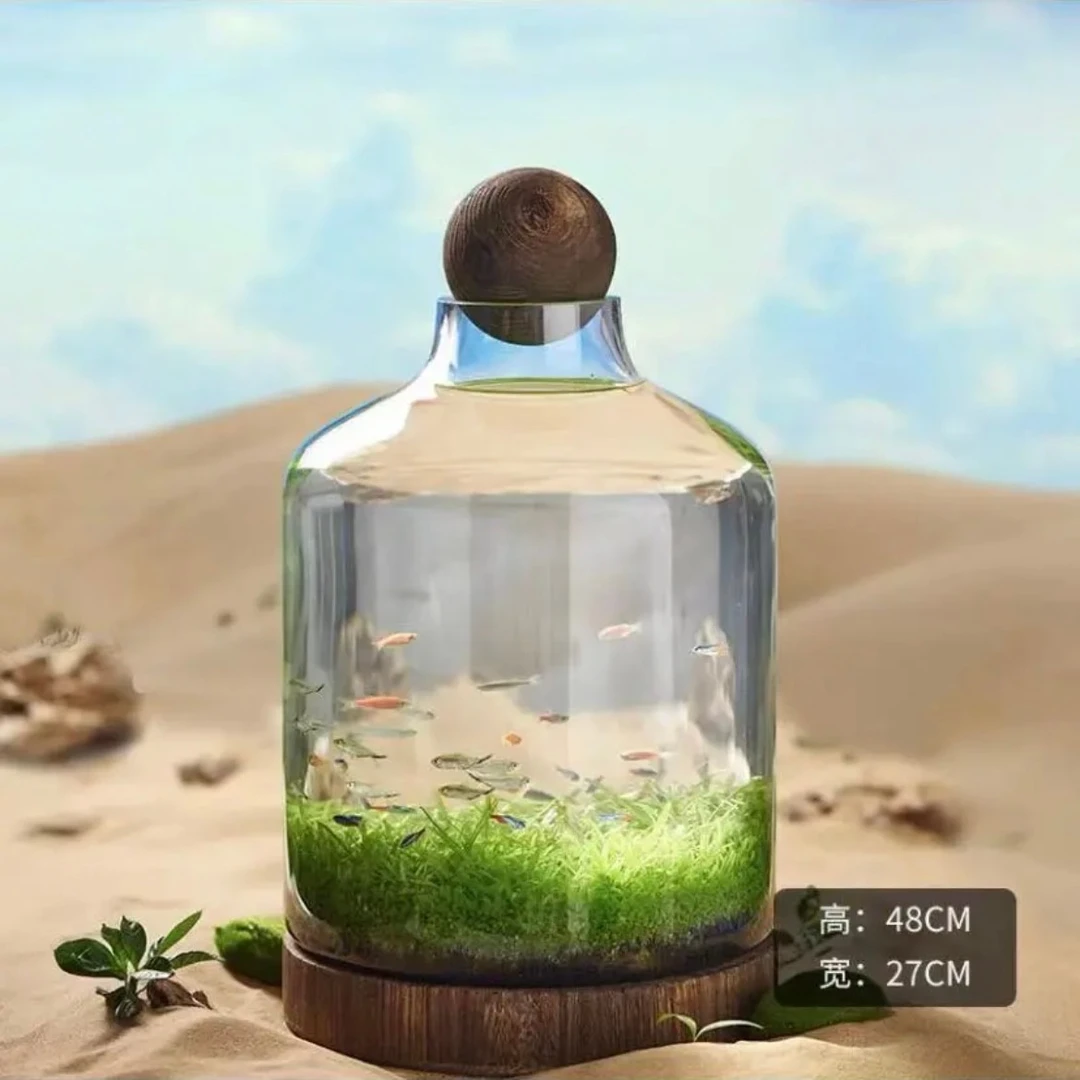 生态水草缸桌面微景观水培绿植造景家庭办公桌面创意水培摆件