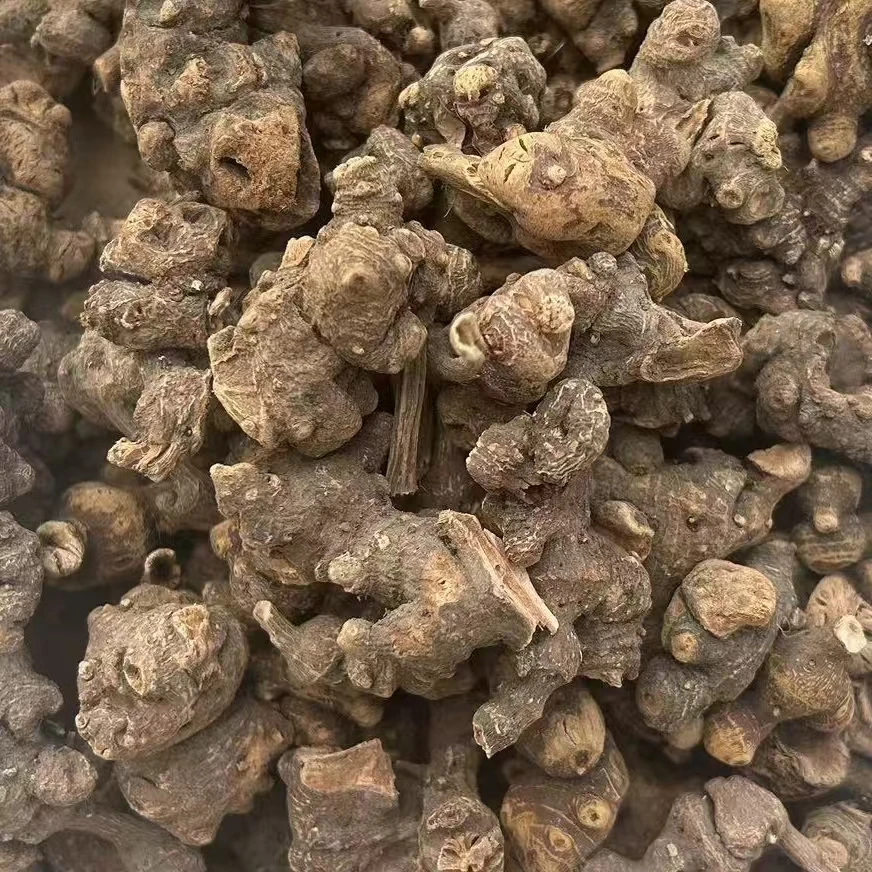 【小花山货】现收山货金荞麦