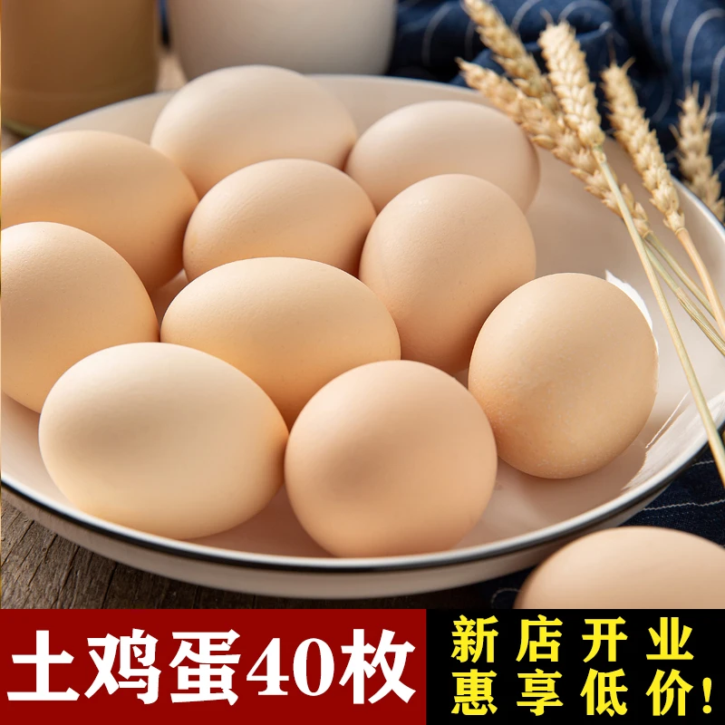 【农场福利】40枚新鲜粉壳土鸡蛋现捡现发