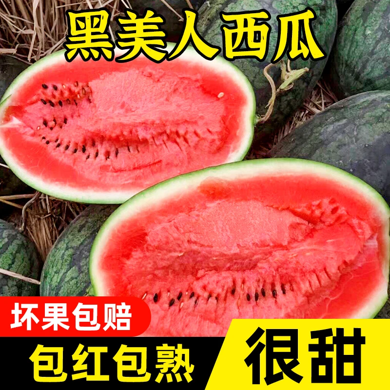 黑美人西瓜鲜红肉厚甘甜新鲜采摘应季水果手掰多汁大西瓜4-9斤