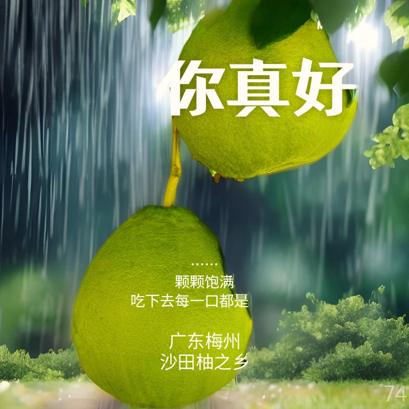 正宗广东梅州高山沙田柚大果纯甜不苦不酸柚子特产
