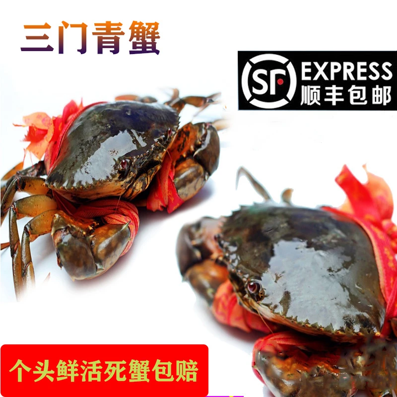 （三门青蟹送礼装）公精品蟹 母膏蟹包肥包活肉蟹冷藏鲜活鲜美到家