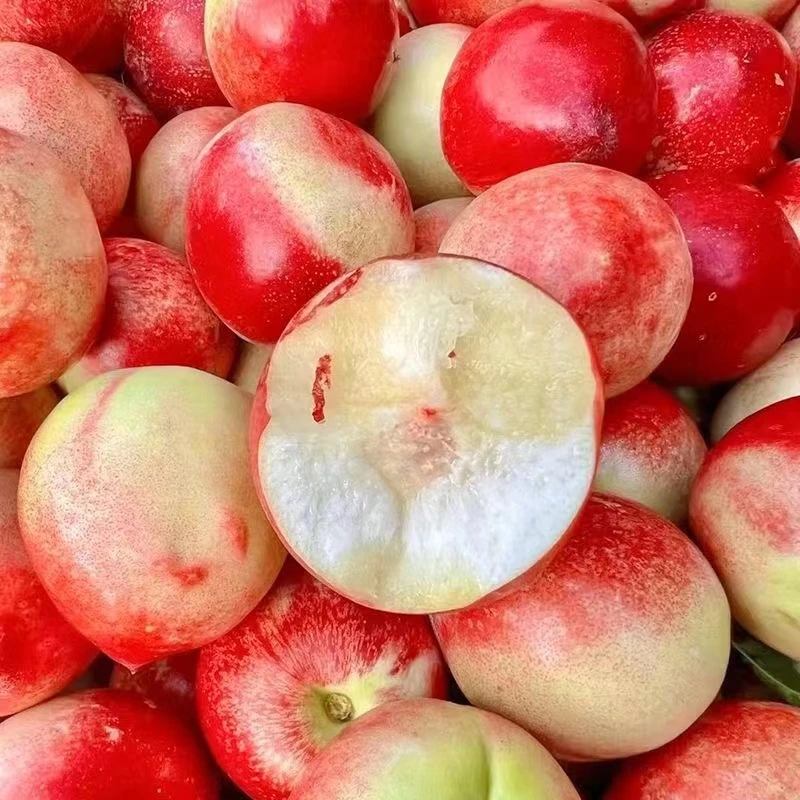 蜂蜜枣油桃仅限柳林县、离石区、中阳县下单