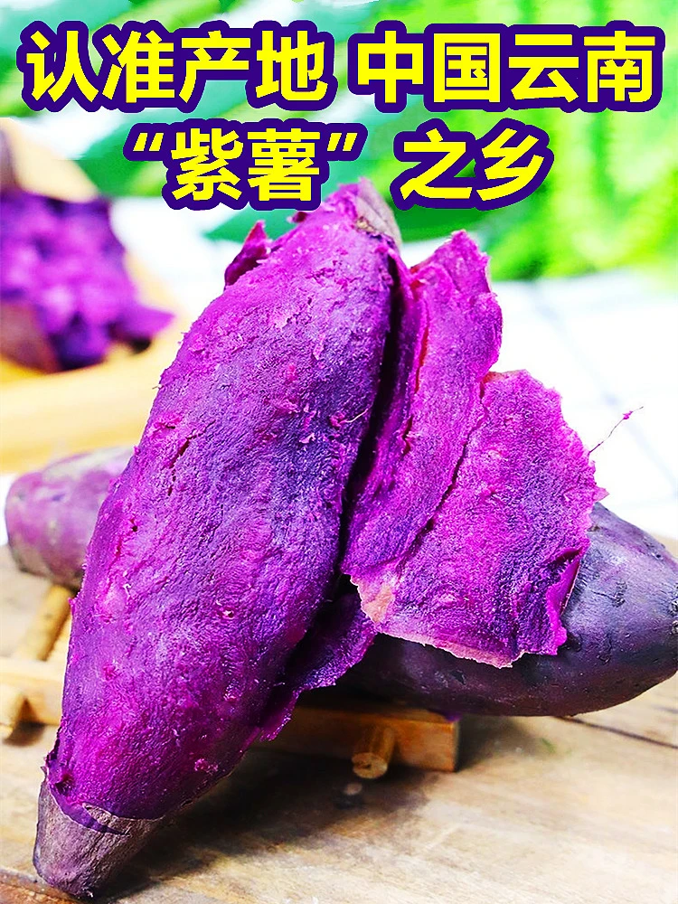 【嘉鑫】云南糖心紫薯10斤新鲜蔬菜烟薯蜜沙地薯番薯板栗红薯地瓜农