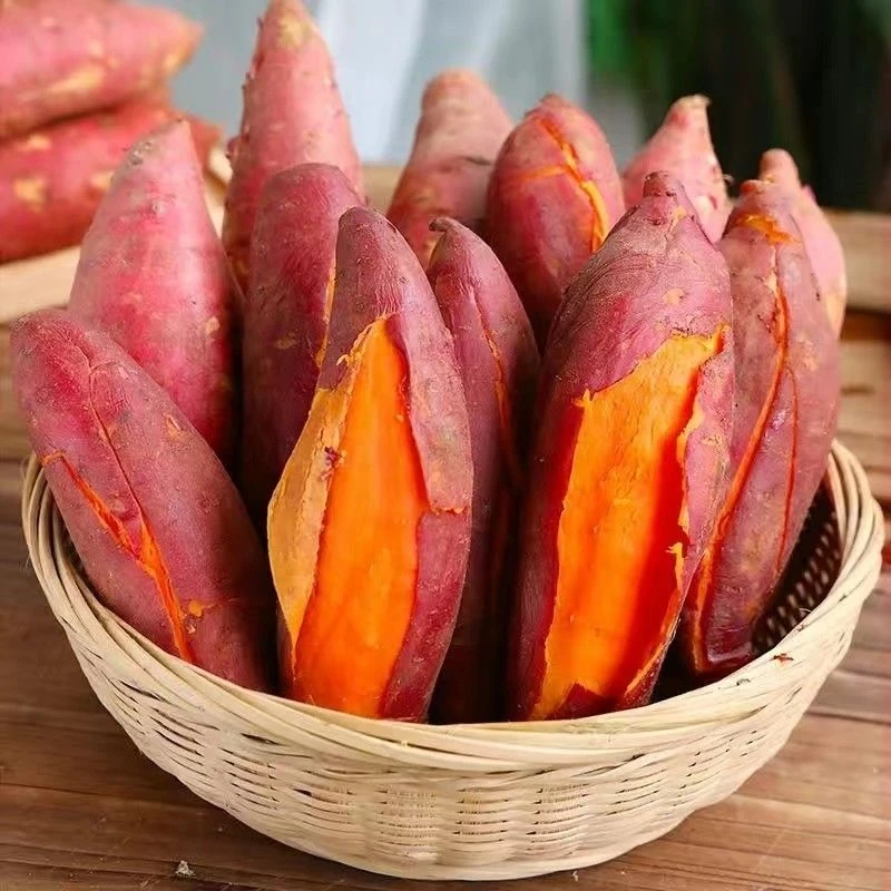 【嘉鑫】蜜薯甜沙地西瓜红糖心板栗新鲜蔬菜整箱聚会零食包邮怀旧