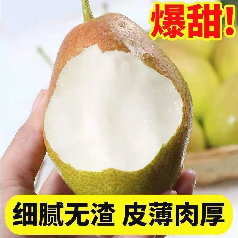 【嘉鑫】红香酥梨新鲜应季水果酥梨3/5/10斤源自库尔勒香梨脆甜皮薄