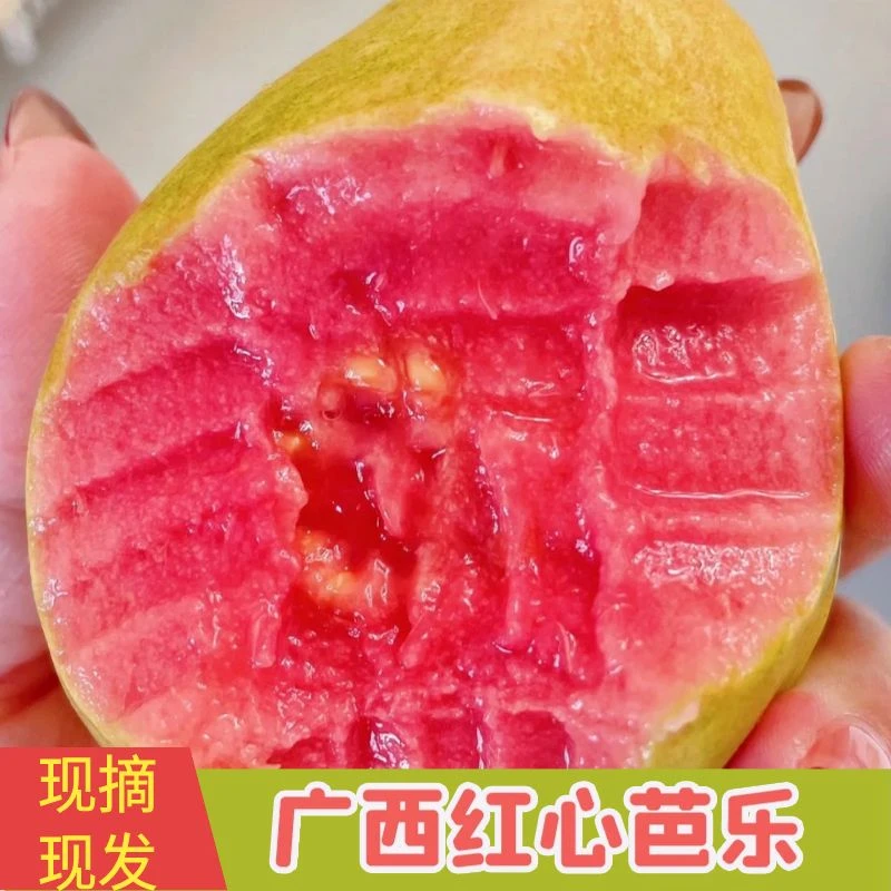 红心白心芭乐软糯香甜1-5斤珍珠芭乐果胭脂红番石榴现摘现发新鲜