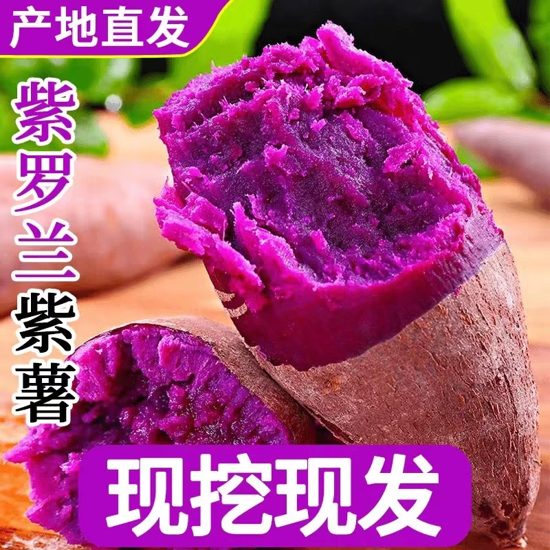 【小宋村长专属】新鲜现挖沙地紫薯紫罗兰番薯紫心小紫薯地瓜5斤