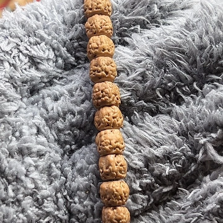 猴头核桃手串一****?佛手龙切7