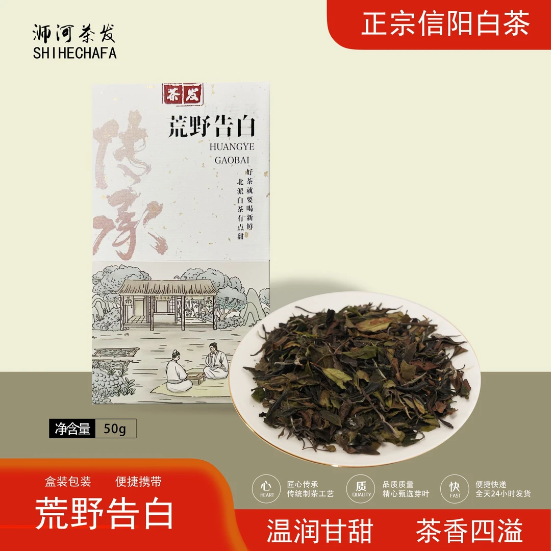 【荒野告白-信阳白茶】浉河茶发2024年白茶花香甜润醇厚高山寿眉