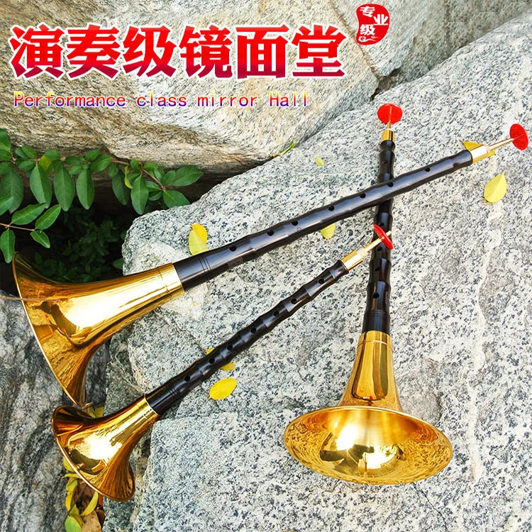 朝凤燕京唢呐乐器全套演奏镜面堂零基础乌木降B初学者D成人儿童