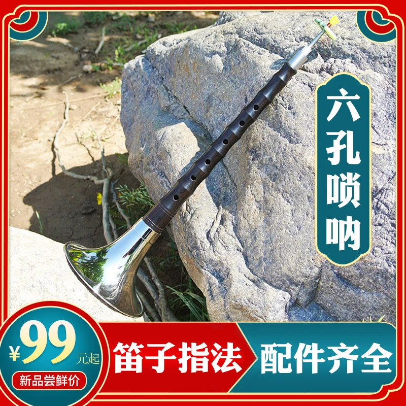 朝凤燕京六孔笛子唢呐乐器全套乌木杆专业6孔大中小号成人儿童D调