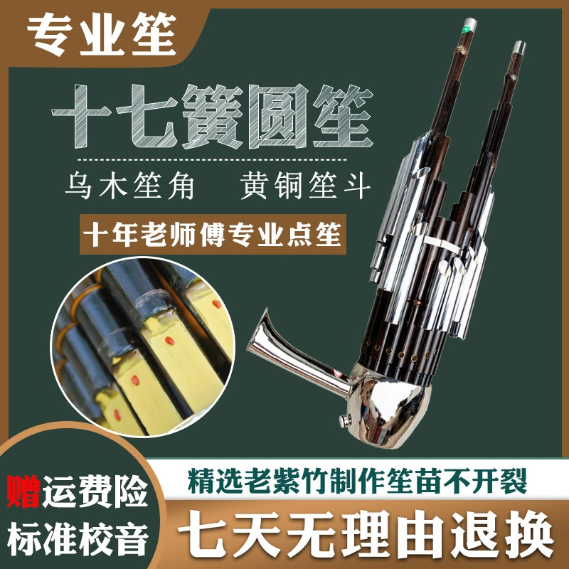 笙乐器初学者D调高音专业17簧扩音圆笙竹笙民间红白事降B调送笙包