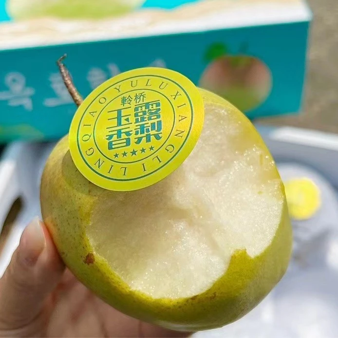《宋大叔严选》雨露香梨 细嫩化渣 净重7斤