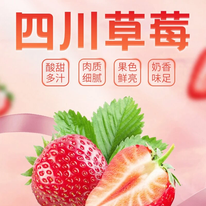《表妹儿严选》巧克力草莓香甜自然熟 大果