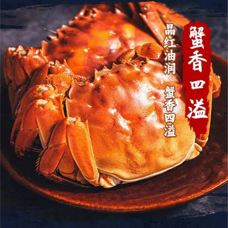 蟹思渝(2.5全母)固城湖大闸蟹无黄包赔死蟹包赔母蟹2.4-2.6两/只