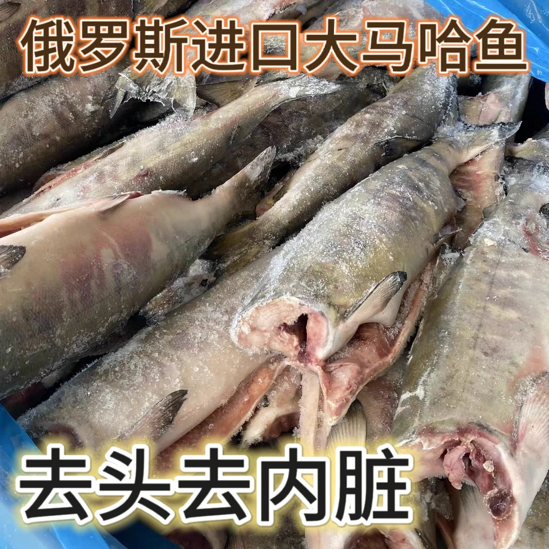 俄罗斯进口无头无内脏大马哈鱼净重4.5-4.8斤（3到4条）