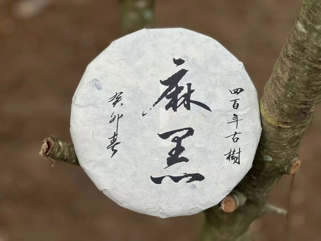 【热卖好茶】普洱生茶 麻黑 2023年 357克 回甘生津 原产地包邮发货