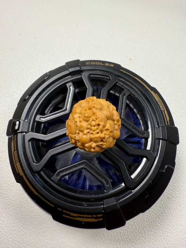 满工尸陀林猴头单珠