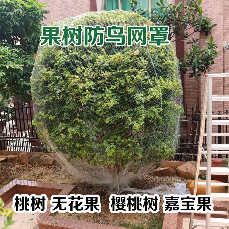 果树防鸟罩嘉宝果樱桃果园大棚鱼塘天网阳台菜地防护网尼龙防鸟网