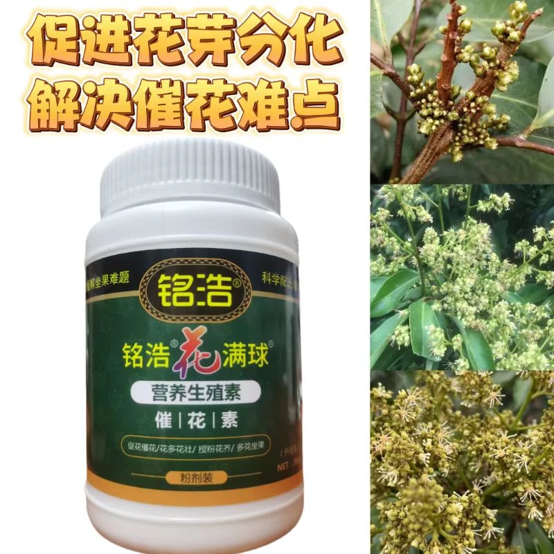 铭浩 花满球  催花素促进生殖生长花芽分化  村长推荐